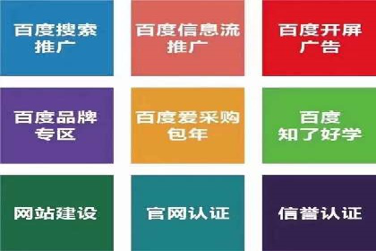 竞价广告赚钱秘籍：百度实战案例